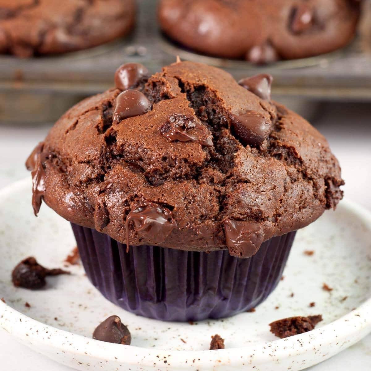 Bakery Style Double Chocolate Muffins with Milk