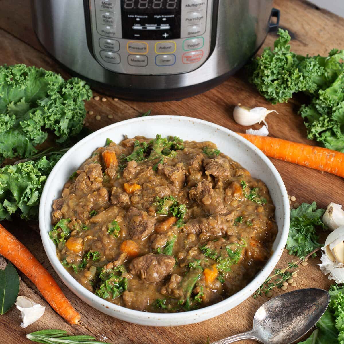 Pressure Cooker Lentil Beef Stew
