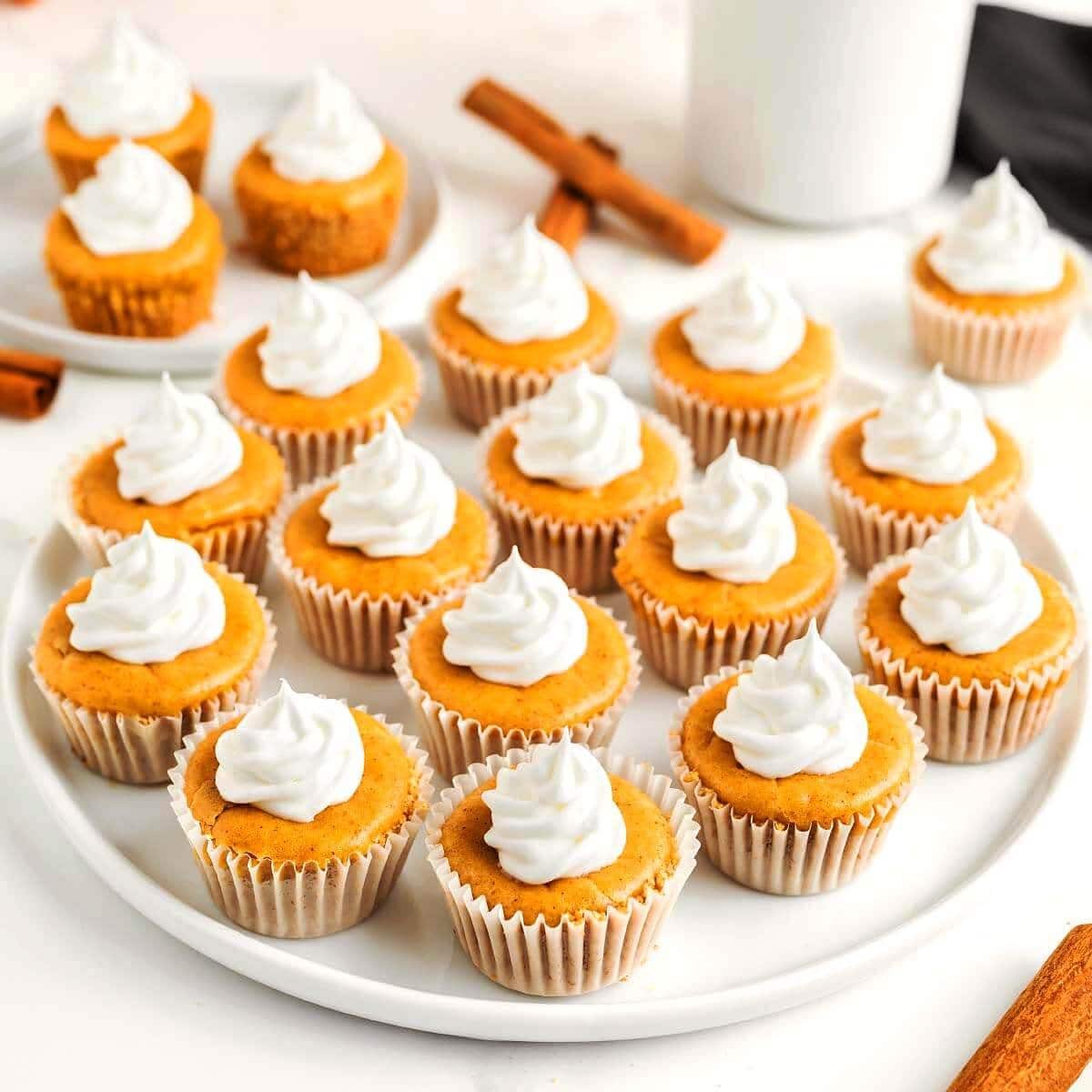 Mini Pumpkin Cheesecakes with Cinnamon