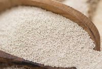 Yeast and Gluten What You Need to Know