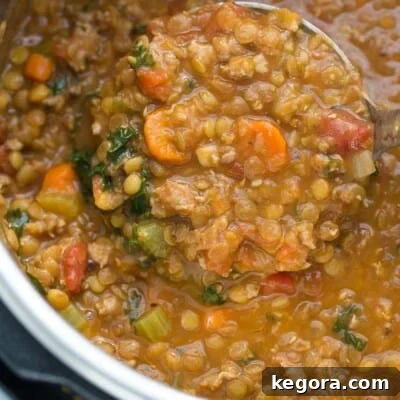 Close up of sausage lentil soup being scooped with ladle