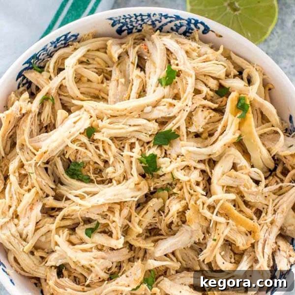 Perfectly shredded chicken in an elegant white bowl with a blue patterned rim, ready for various low-carb preparations.