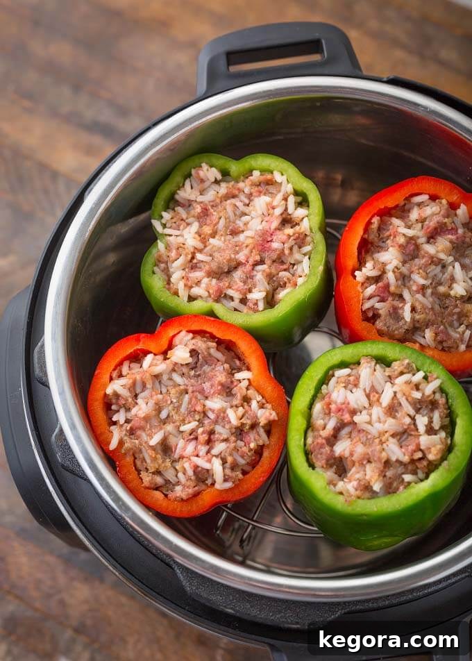 Four Instant Pot Stuffed Peppers, two green and two red, on a trivet in a pressure cooker