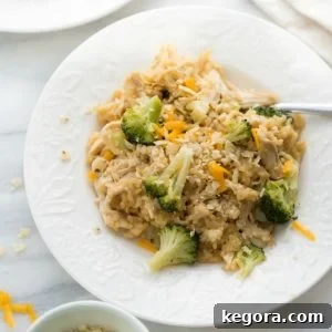 chicken and rice on white plate topped with shredded cheese