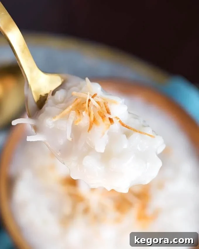 Tropical Instant Pot Coconut Rice Pudding 3 Closeup of a spponful of Coconut Rice Pudding garnished with toasted coconut