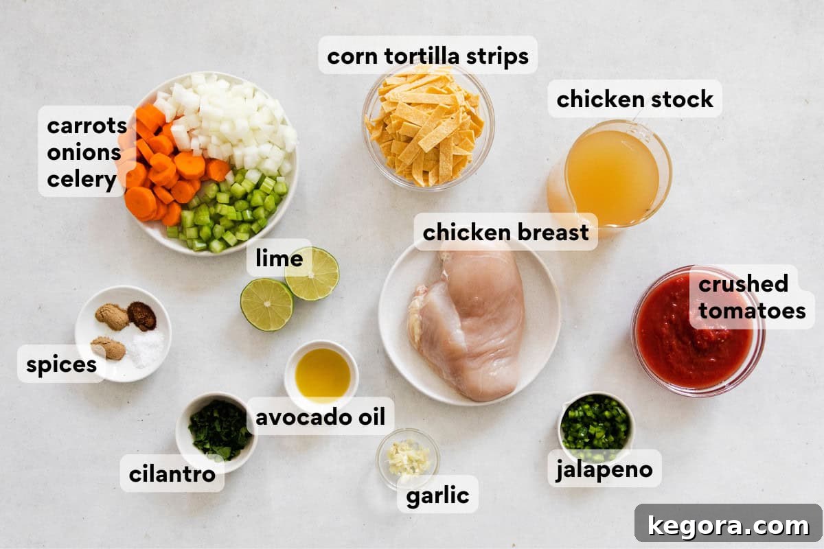 Ultimate Instant Pot Chicken Tortilla Soup 4 Ingredients for Instant Pot chicken tortilla soup on a countertop