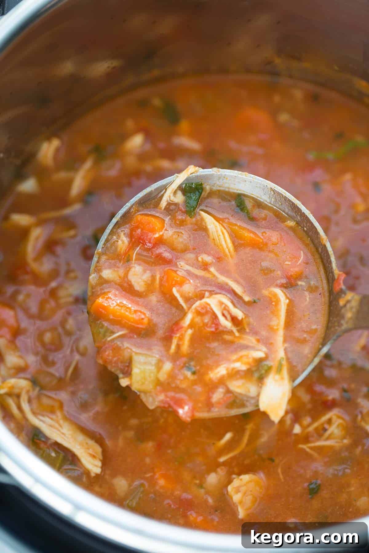 Instant Pot Chicken Tortilla Soup Ladle full of instant pot chicken tortilla soup being scooped out of the instant pot