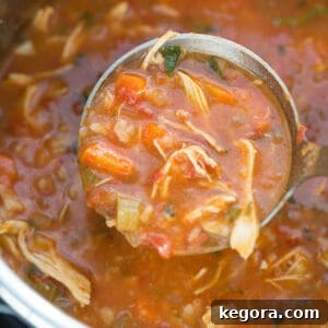 chicken tortilla soup in ladle in instant pot