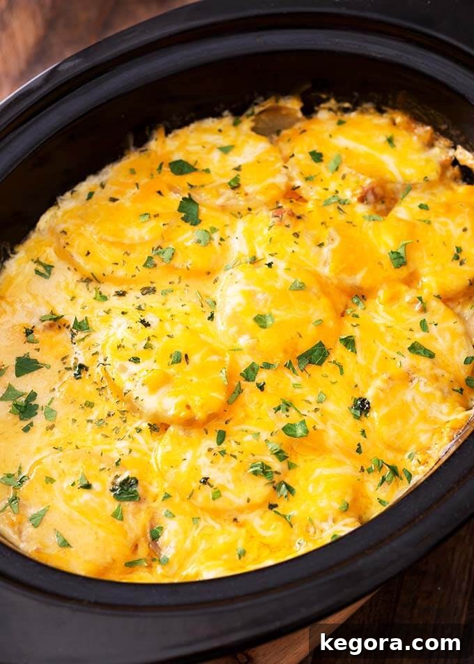 Deliciously creamy and cheesy scalloped potatoes simmering in a slow cooker, ready to be served as a comforting side dish.