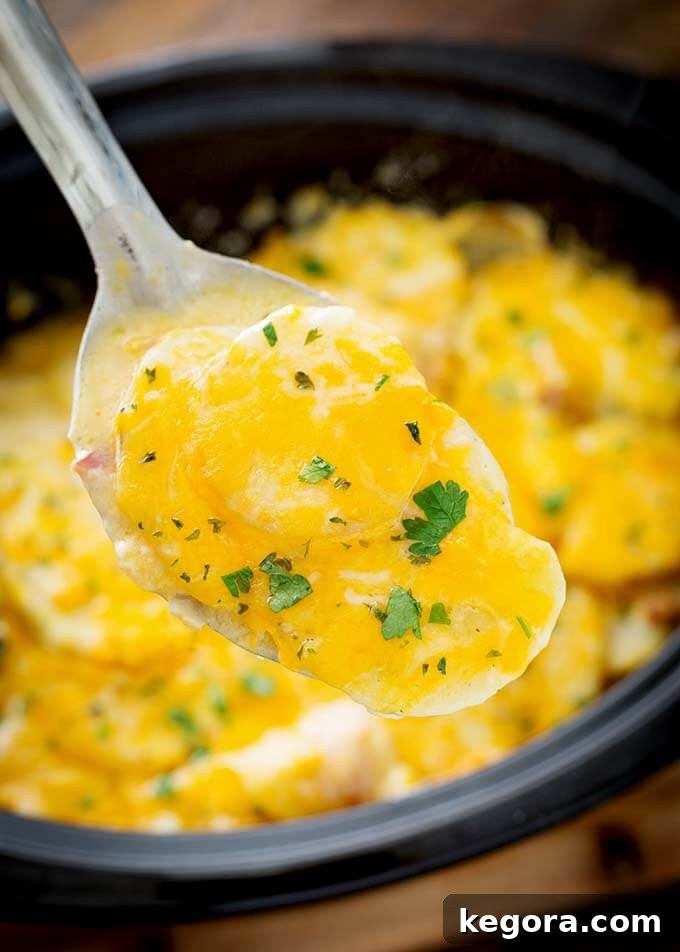 A close-up of a spoonful of creamy, cheesy scalloped potatoes being lifted from a slow cooker, showcasing the melted cheese and tender potato layers.