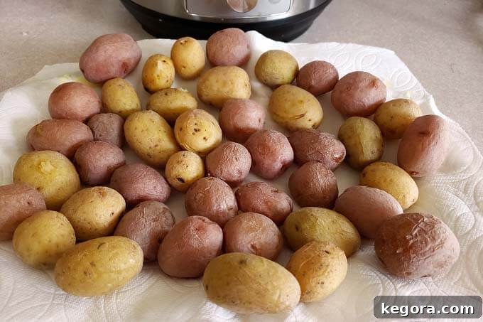 Effortless Instant Pot Syracuse Salt Potatoes 5 Drying Syracuse Salt Potatoes on paper towels to achieve their characteristic salty crust