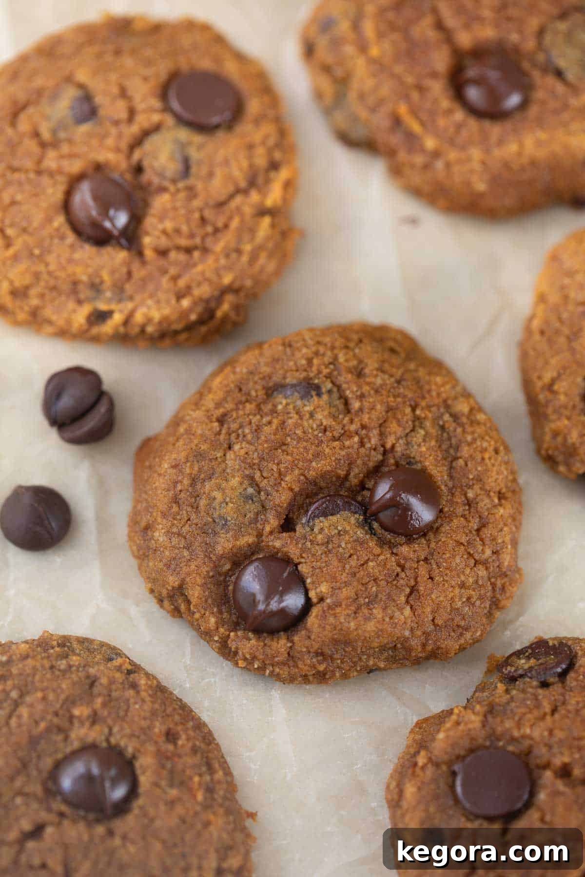 Paleo Pumpkin Spice Treats 2 Healthy paleo pumpkin cookies with dairy-free chocolate chips, cooling on parchment paper after baking