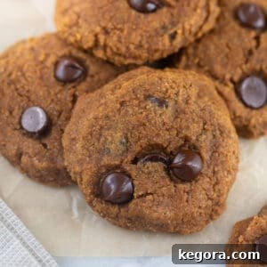 Close up shot of a paleo pumpkin cookie on brown parchment paper, featuring chocolate chips.