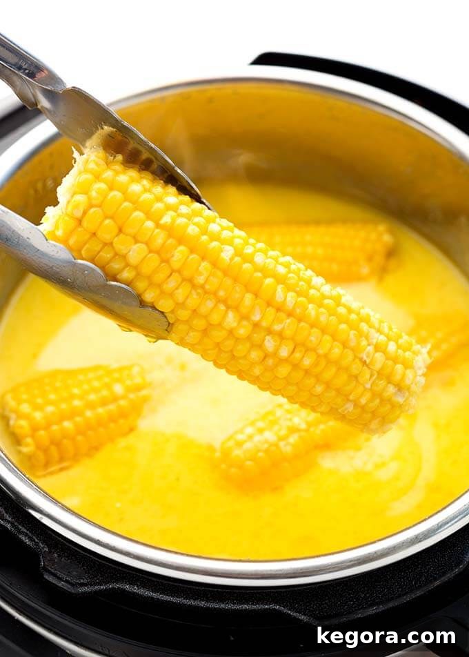 Tongs taking out an ear of golden, glistening Milk and Honey Corn on the Cob from a pressure cooker, ready to be enjoyed.