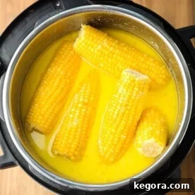 Milk and Honey Corn on the Cob in a pressure cooker, showcasing the creamy liquid.