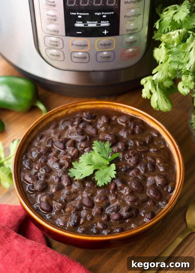 Speedy Cuban Black Beans 2 Rich Cuban Black Beans served in a rustic brown bowl, with an Instant Pot blurred in the background, hinting at their pressure-cooked origins.