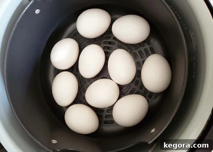 Perfect Air Fryer Boiled Eggs 3 ten uncooked eggs in air fryer basket