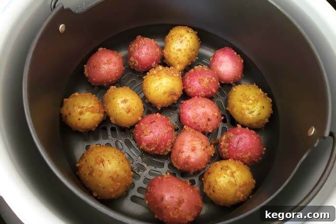 Placing coated baby potatoes in a single layer into an air fryer basket, ensuring they are not overcrowded.
