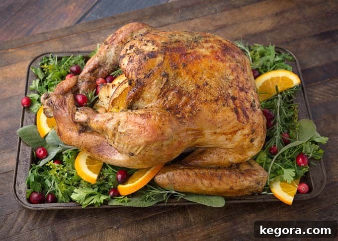 Effortless Thanksgiving Turkey 3 Thanksgiving Turkey on baking sheet with vegetables, herbs, sliced oranges and cranberries