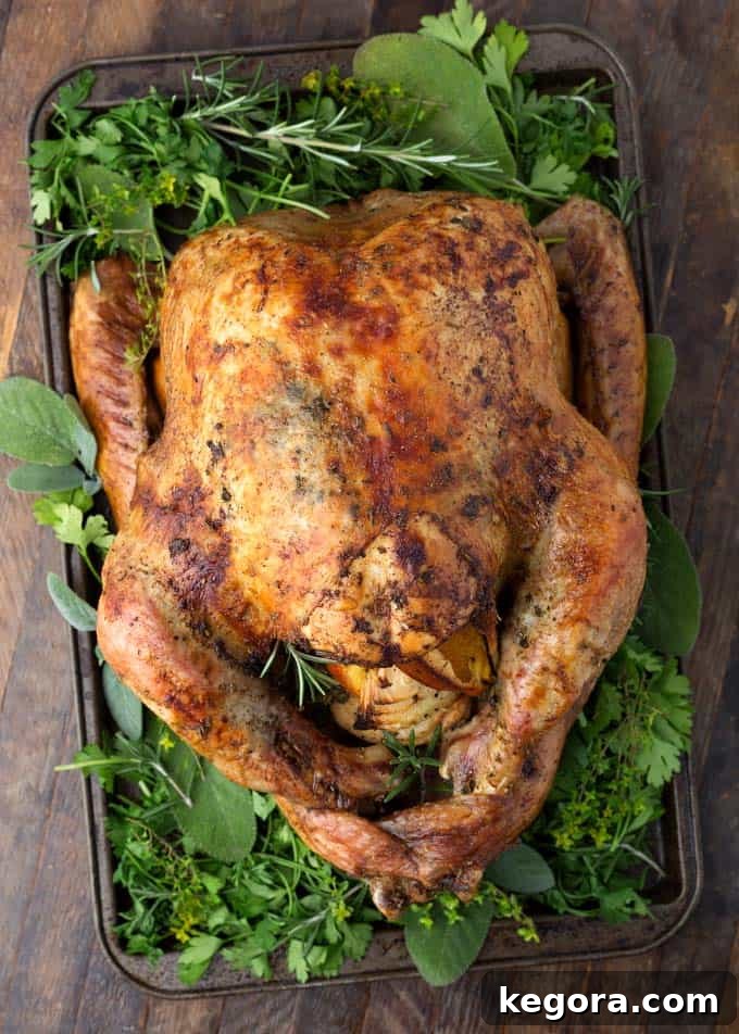 Effortless Thanksgiving Turkey 4 Thanksgiving Turkey on baking sheet with vegetables and herbs