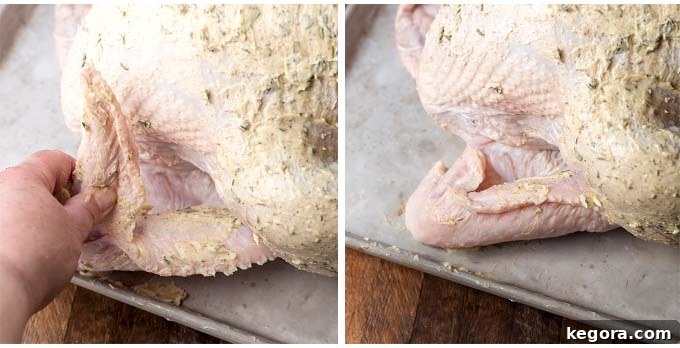 folding turkey wings under