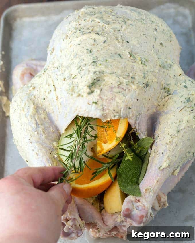 stuffing turkey with herbs and fruit