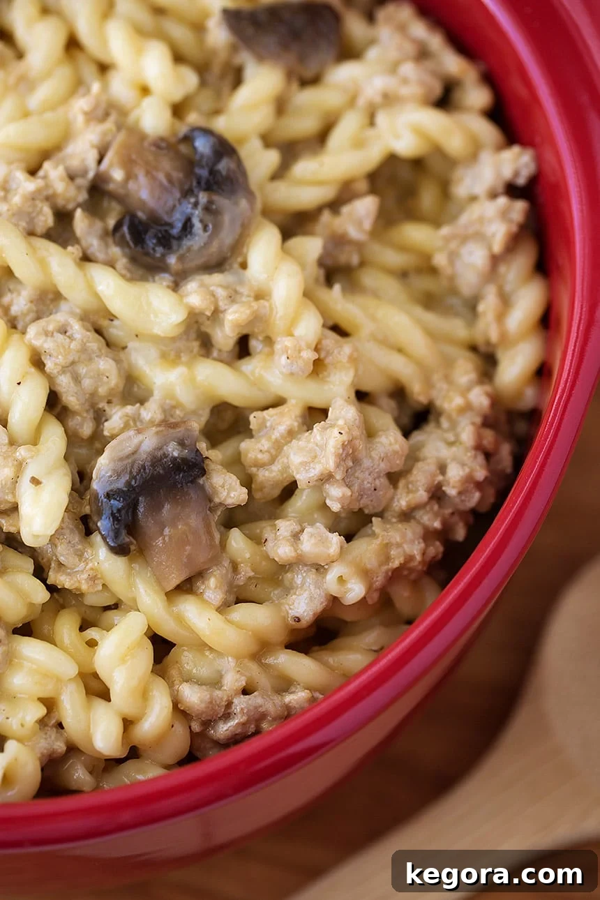 A close-up shot of rich and creamy Instant Pot Cheeseburger Pasta in a red bowl, highlighting the texture of the pasta and melted cheese.