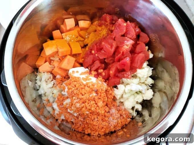 Ingredients for Vegetable curry in pot before cooking