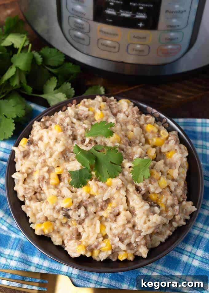 A serving of Instant Pot Cheesy Hamburger Rice Casserole on a dark brown plate, garnished with fresh parsley.