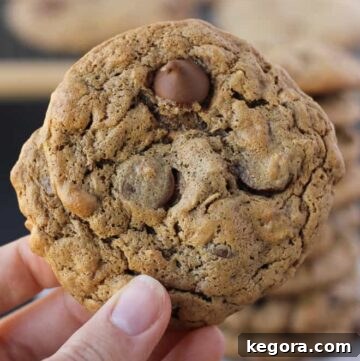 Close up shot of a delicious flourless almond butter cookie, highlighting its rich texture and perfect bake.