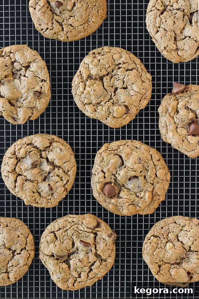 Wholesome Flourless Oatmeal Almond Butter Cookies 3 A close-up shot of a single flourless almond butter oatmeal cookie, showcasing its textured surface and embedded chocolate chips, promising a delightful bite.