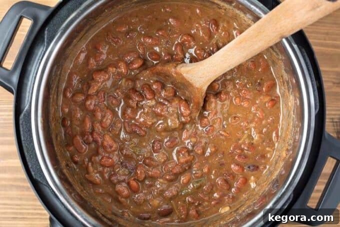 Instant Pot Mexican Pinto Beans looking into the pot