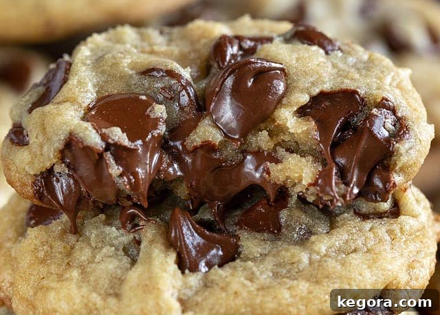 8 Go-To Resources for Surviving the Unpredictable 5 close up of chocolate chip cookie