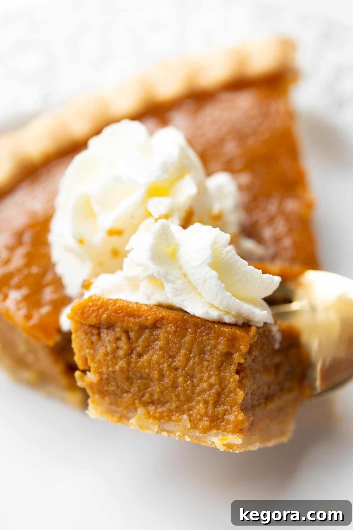 Homemade Gluten-Free Pumpkin Pie 2 Close up shot of gluten-free pumpkin pie with a slice on a fork, showcasing its golden crust and creamy filling.