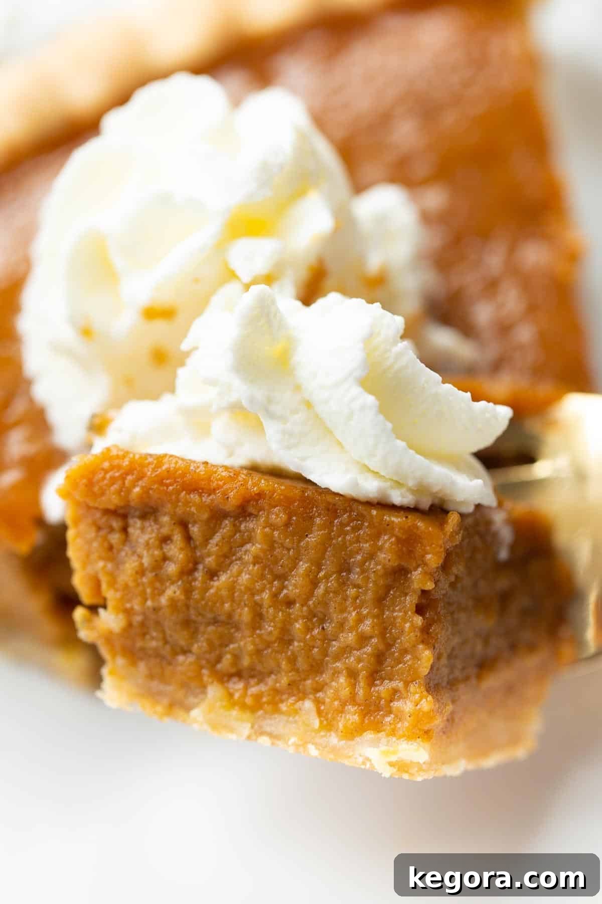 Homemade Gluten-Free Pumpkin Pie 9 Closeup shot of a slice of gluten-free pumpkin pie on a fork, ready to be eaten.
