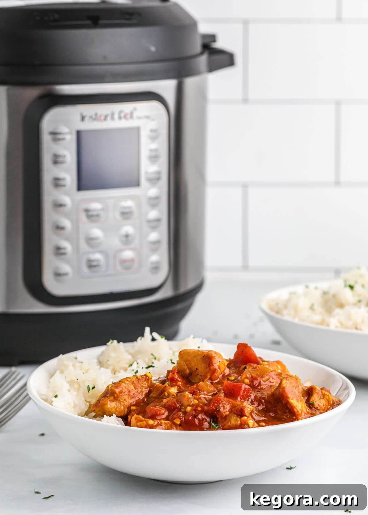 white bowl of chicken curry and rice in front of pot