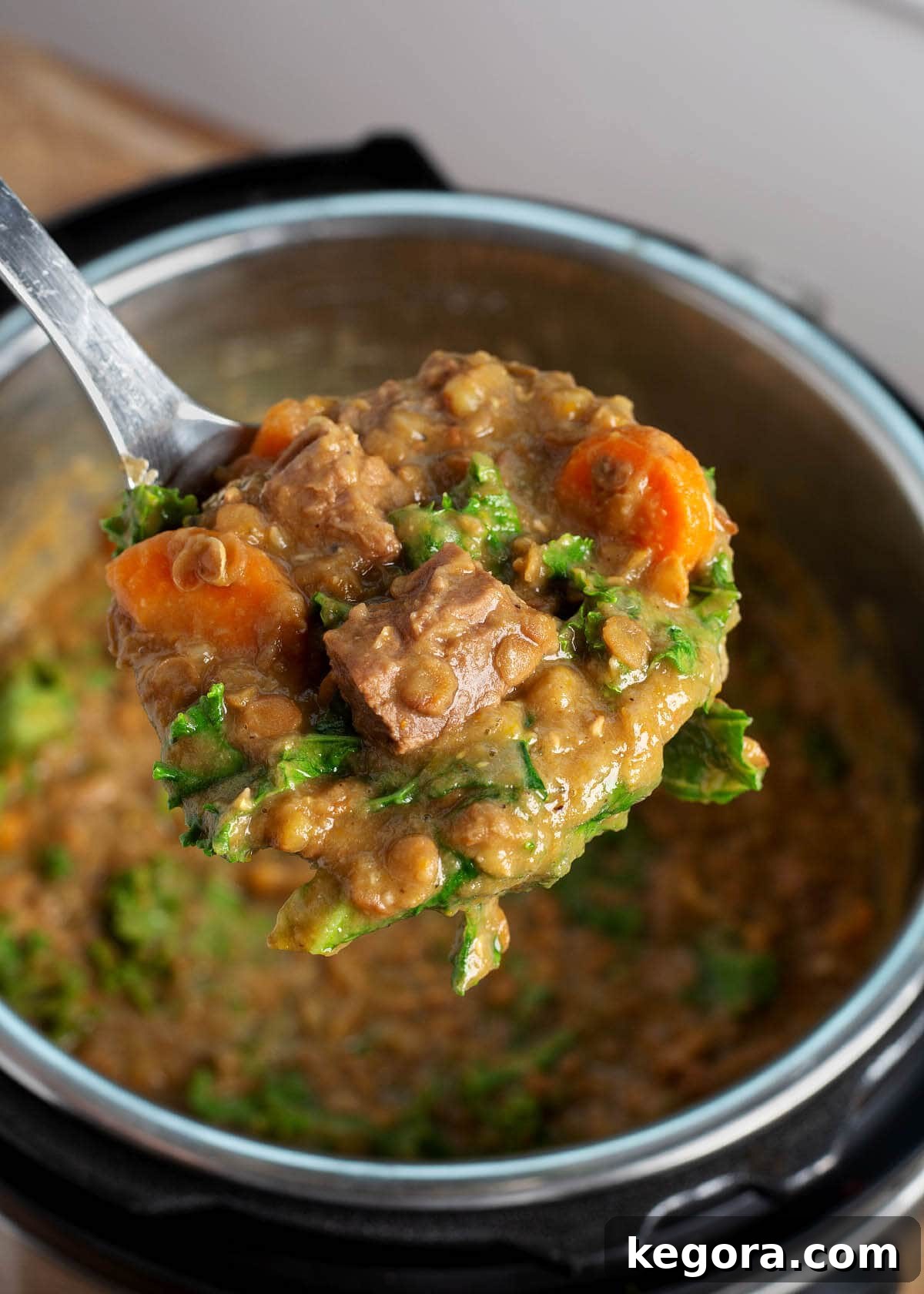 Quick and Hearty Instant Pot Beef Lentil Stew 3 Lentil Stew in a ladle