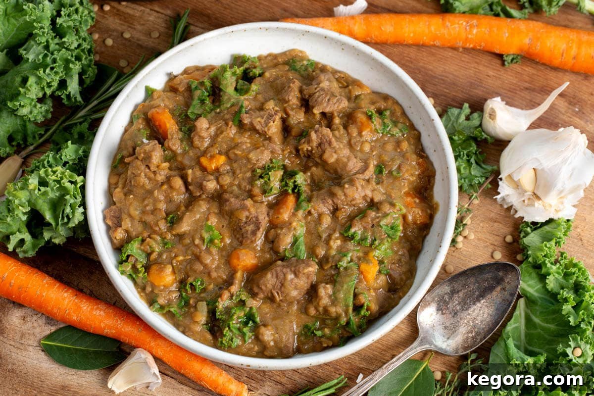 Quick and Hearty Instant Pot Beef Lentil Stew 4 Instant Pot Lentil Beef Stew in a white bowl