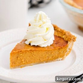 Golden Air Fryer Pumpkin Pie 6 pie on a white plate