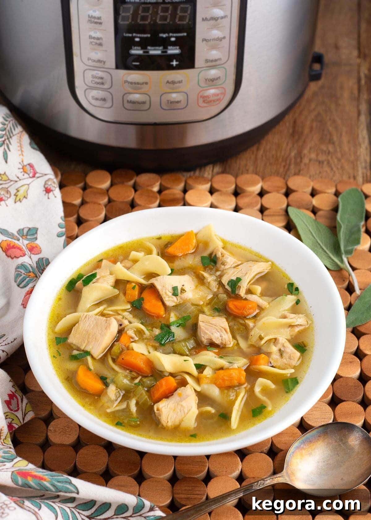 Hearty Instant Pot Turkey Soup 2 Turkey Soup in a white bowl in front of IP