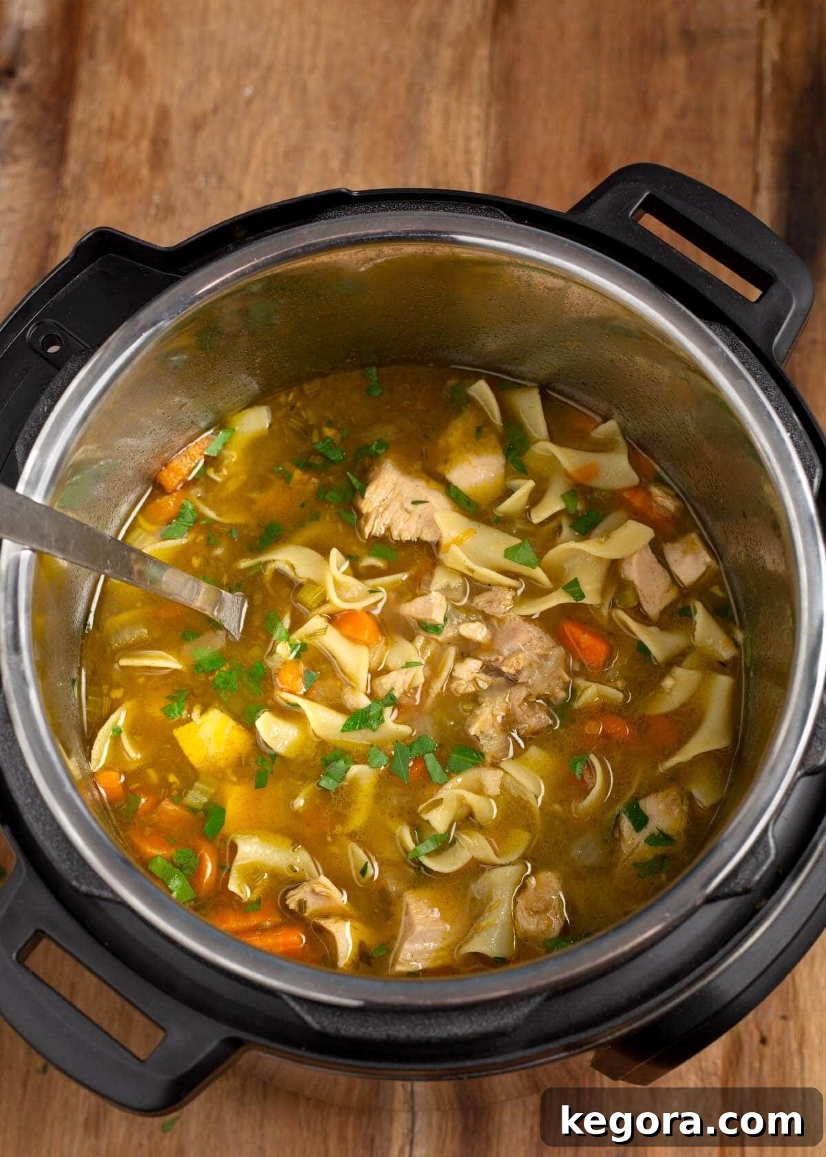 Hearty Instant Pot Turkey Soup 9 Instant Pot Turkey Soup in the pot from above
