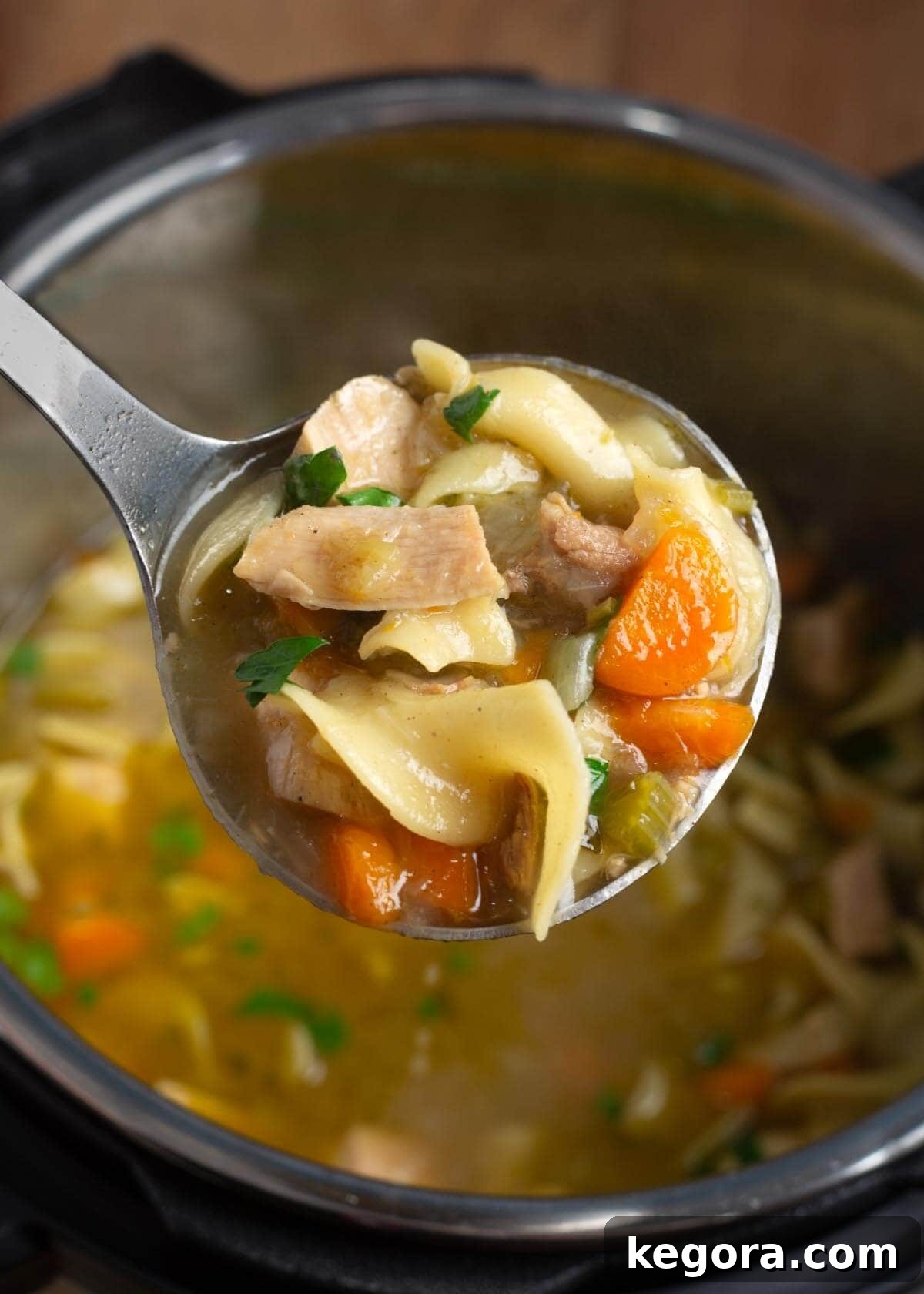 Hearty Instant Pot Turkey Soup 10 Instant Pot Turkey Soup in a ladle