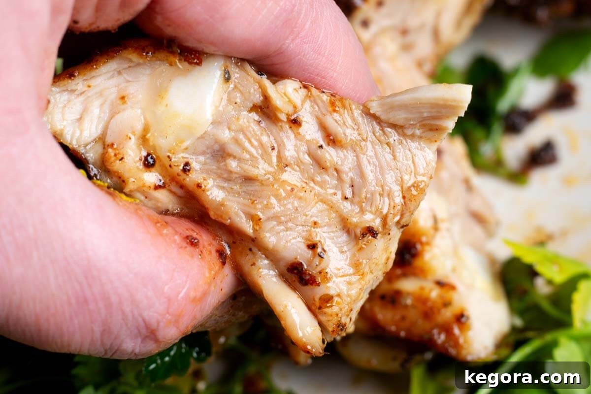 closeup of chicken thigh slice