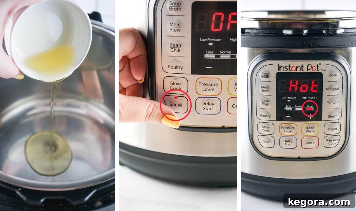Popcorn Perfection in the Instant Pot 3 add oil to pot, turn on pot, display reads hot