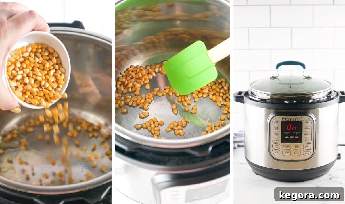 Popcorn Perfection in the Instant Pot 4 pour kernels into pot, stir kernels, put lid on pot