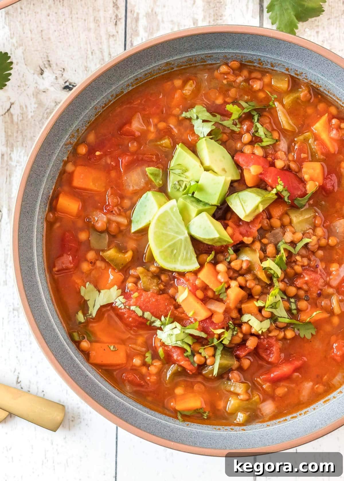 Close-up shot of Instant Pot Lentil Chili in a bowl, showcasing its rich texture and vibrant colors, garnished with fresh cilantro and avocado.