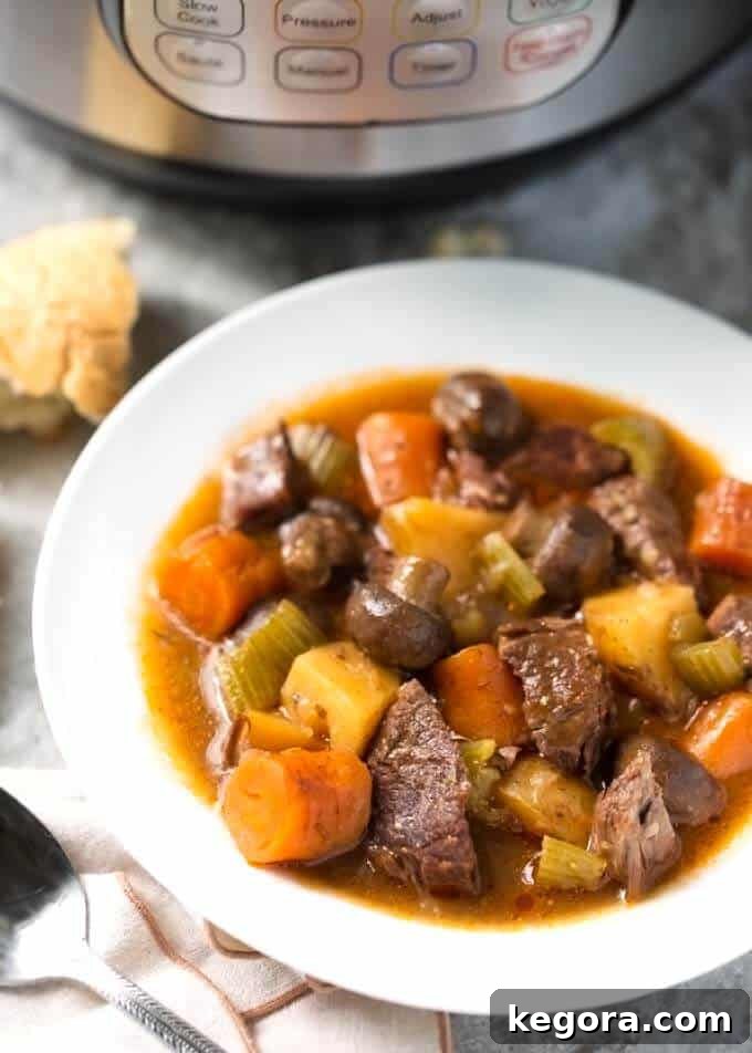 A small white bowl filled with Sandy's Instant Pot Beef Stew, featuring tender beef, carrots, potatoes, and a rich gravy. An Instant Pot is blurred in the background, suggesting ease of preparation.