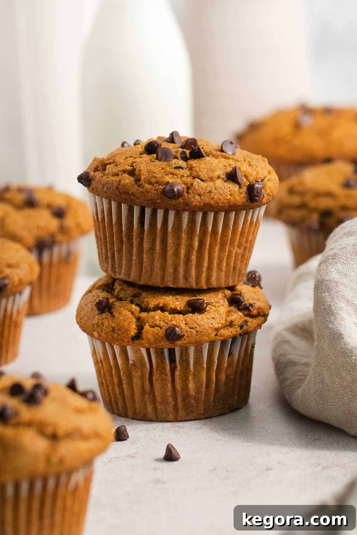 Two perfectly baked chocolate chip pumpkin muffins stacked on top of each other, showcasing their fluffy texture and golden tops.