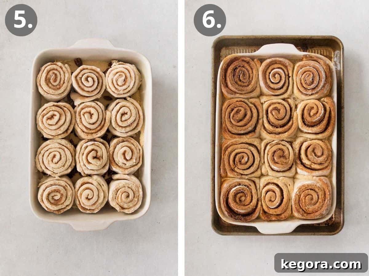 Decadent Gluten-Free Sticky Buns 7 Steps demonstrating how to roll the dough strips into spirals, arrange them in the pan, allow them to rise, and bake until golden brown.