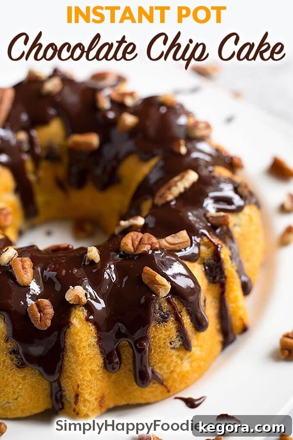 Instant Pot Chocolate Pecan Perfection Cake 6 Instant Pot Pecan Chocolate Chip Cake is a doctored up box yellow cake mix that you cook in the Instant Pot electric pressure cooker. With just a few extra simple ingredients, you can make a yummy pressure cooker cake! simplyhappyfoodie.com #instantpotcake #instantpotrecipes #instantpot Make a cake in the instant pot pressure cooker from a box cake mix!